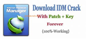 IDM Download Crack