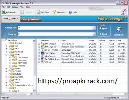 File Scavenger 2021 Crack