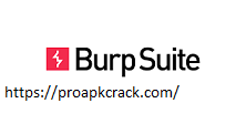 Burp Suite Pro 2020.11.1 Crack