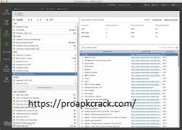 WebSite Auditor 4.48.4 Crack