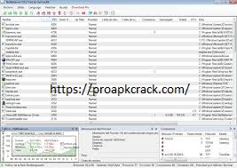 NetBalancer 10.2.4 Crack 2021