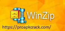 WinZip Pro 25.0.14273 Crack