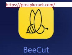 BeeCut 1.6.8.66 Crack