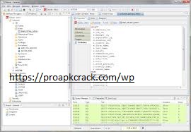 DBeaver 21.0.2 Crack