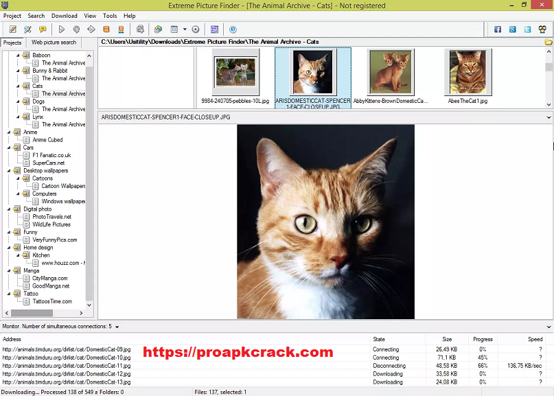 Extreme Picture Finder 3.65.11 free instal